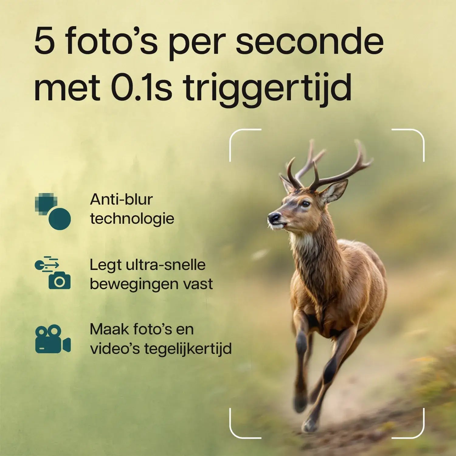Triggetijd van wildcamera met wifi en zonnepaneel