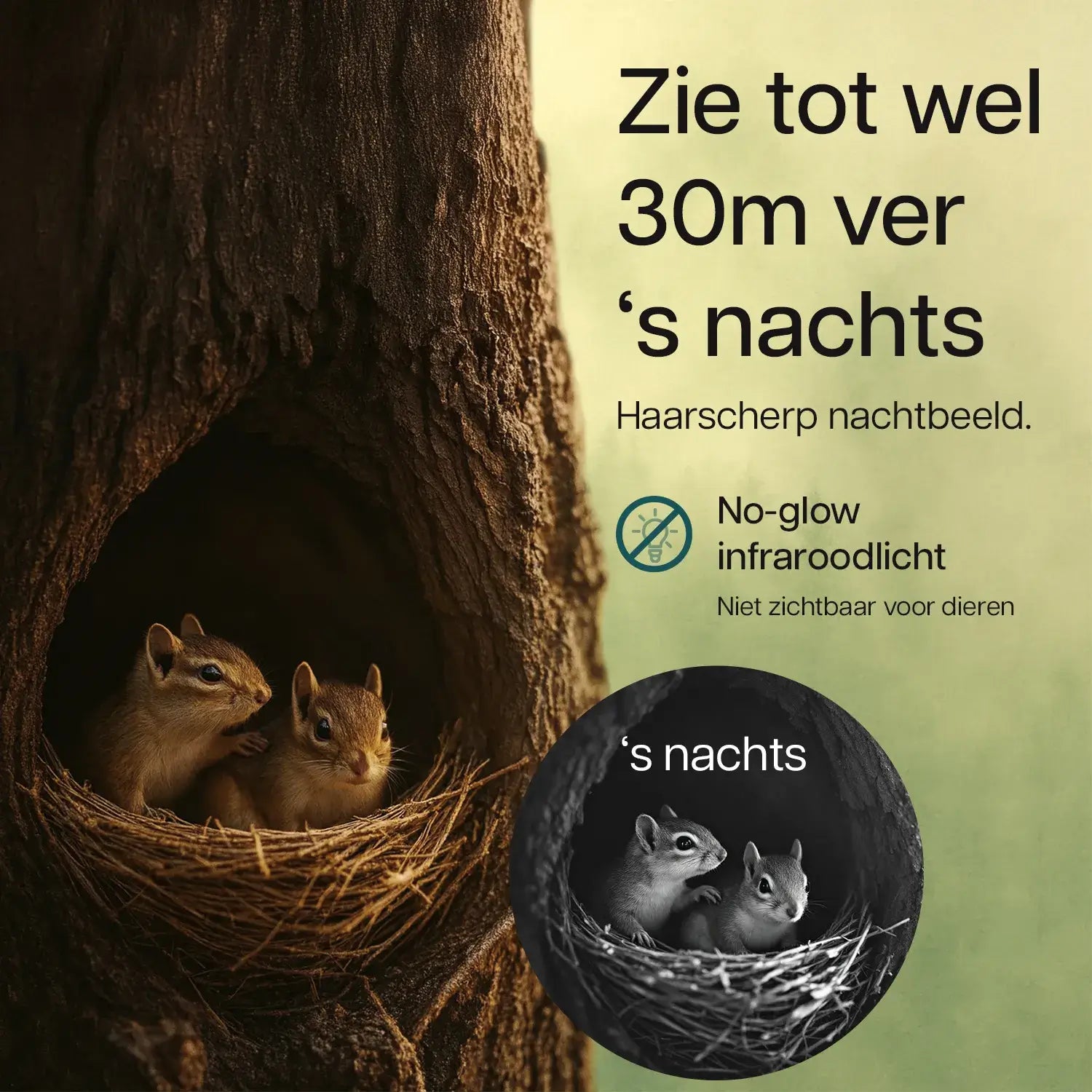 Nachtzicht van wildcamera met wifi en zonnepaneel