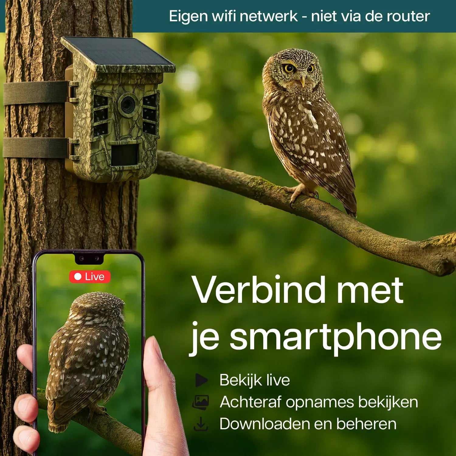 live beelden op de app van camtura wildcamera met zonnepaneel