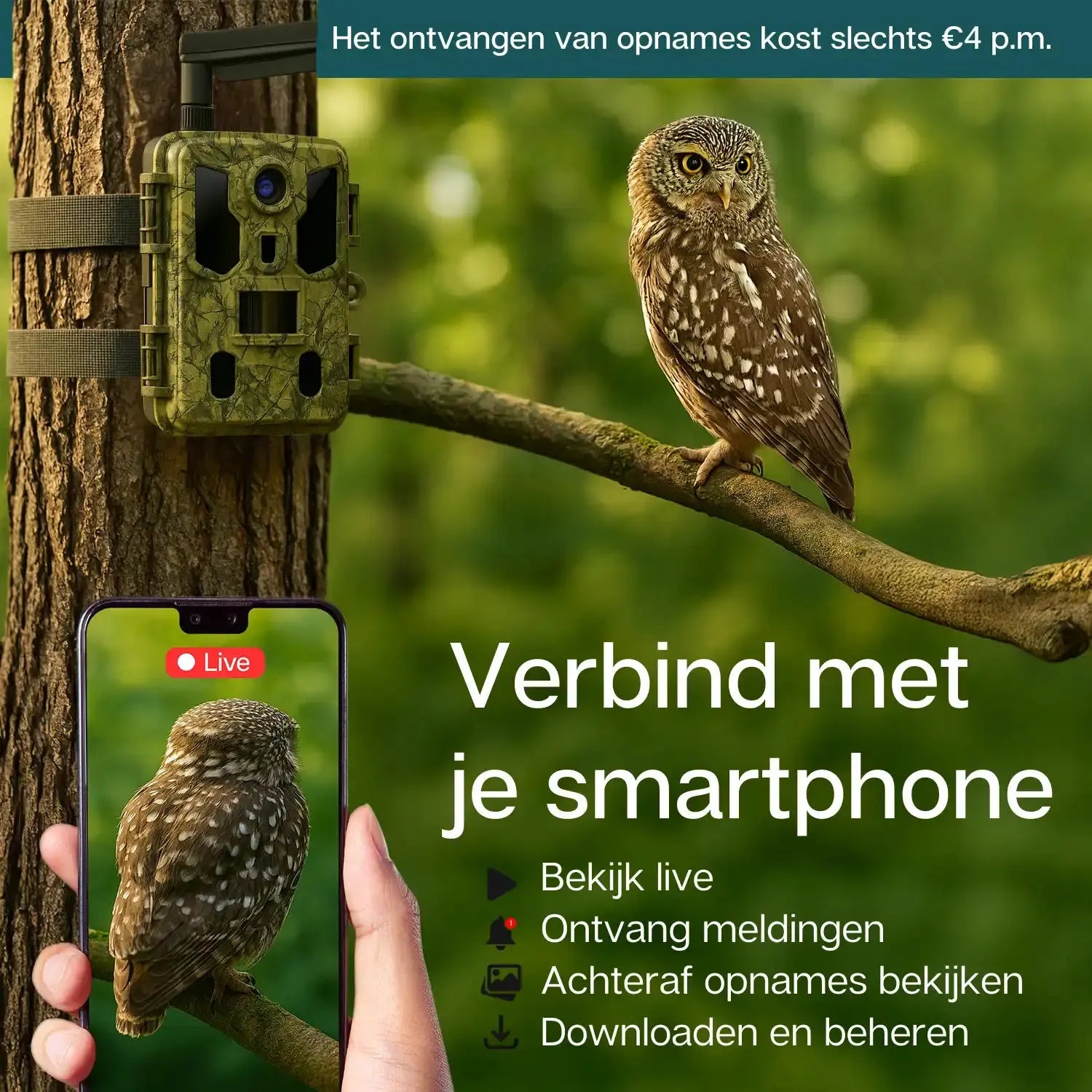 Live beelden bekijken en ontvangen op de camtura wildcamera met 4g simkaart en AI