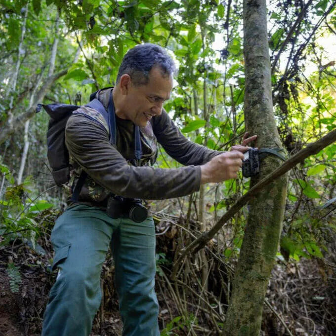 Wildcamera met zonnepaneel tijdens gebruik