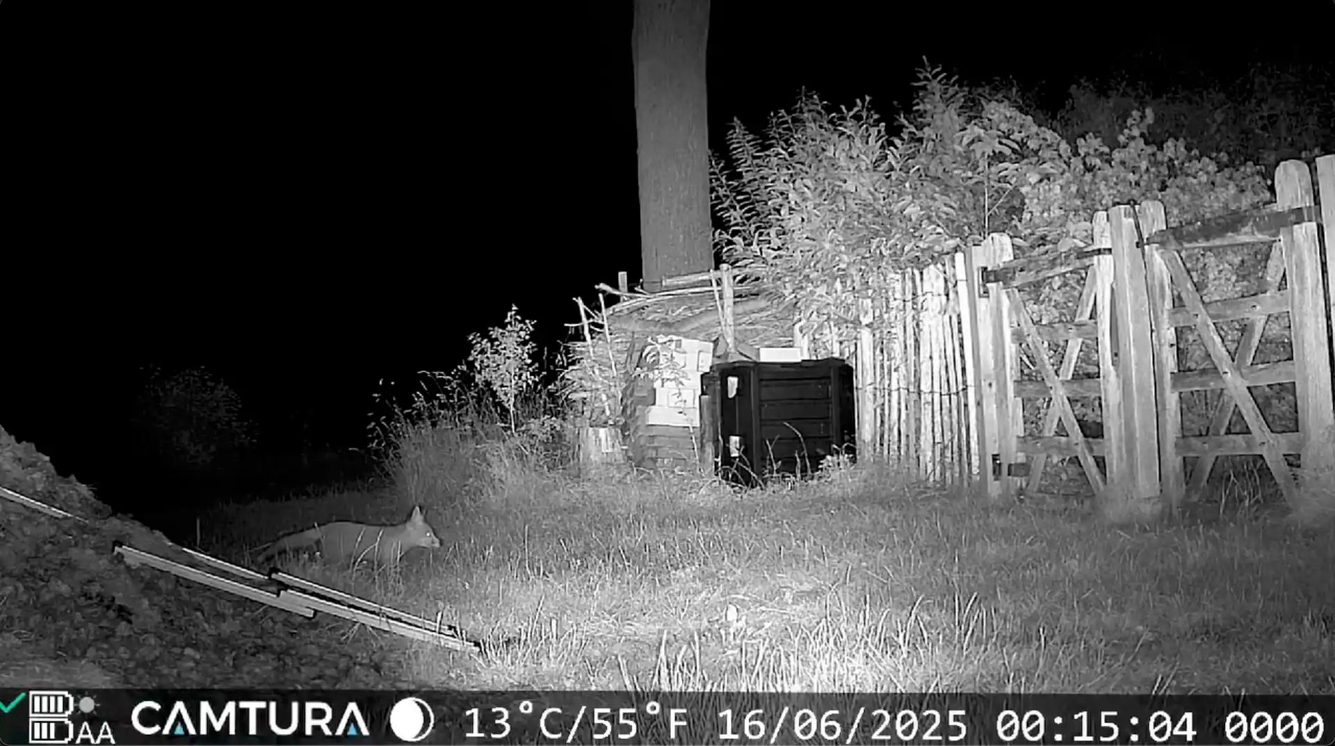 Nachtzicht opname van de wildcamera's van met nachtzicht van Camtura