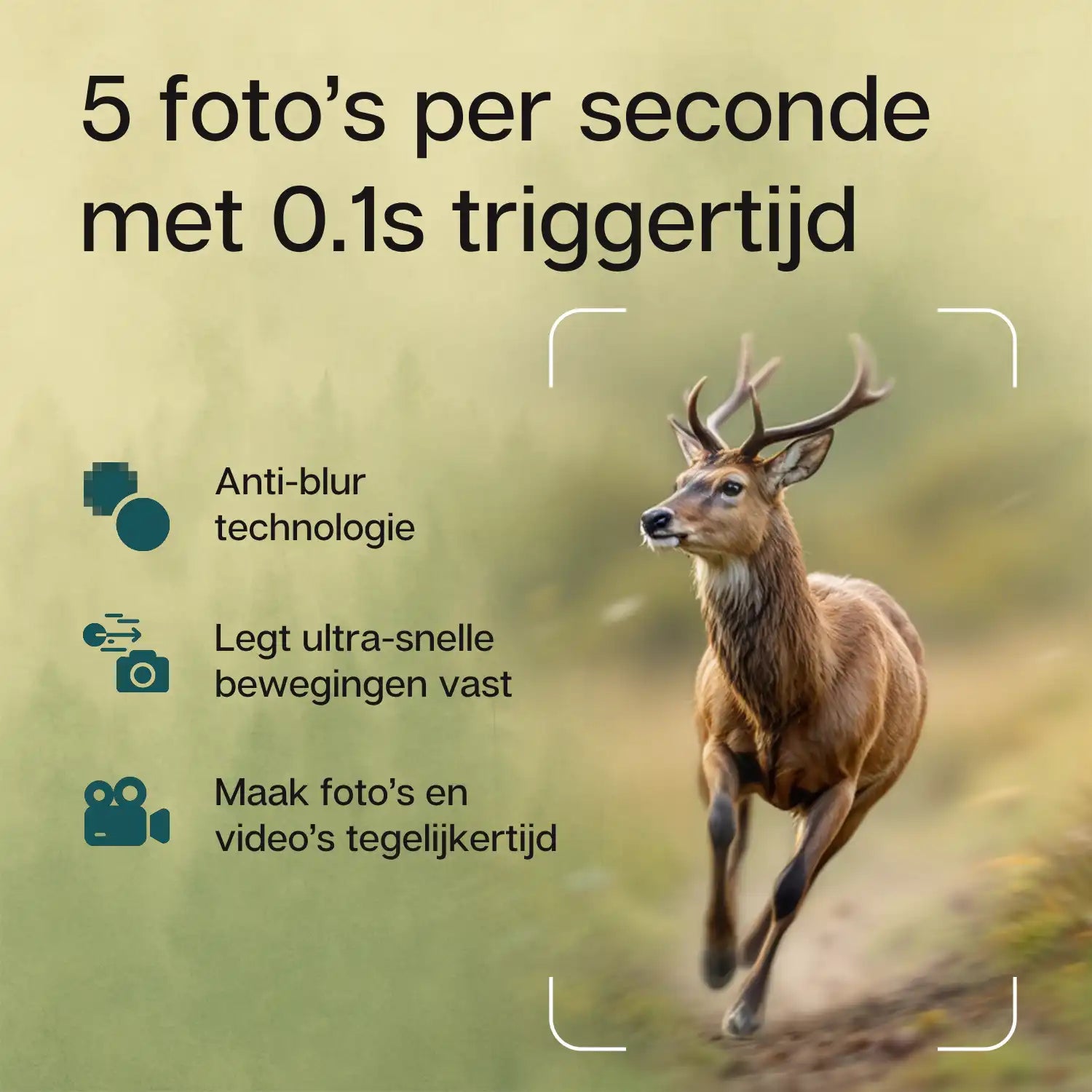 Triggertijd van de camtura wildcamera met nachtzicht