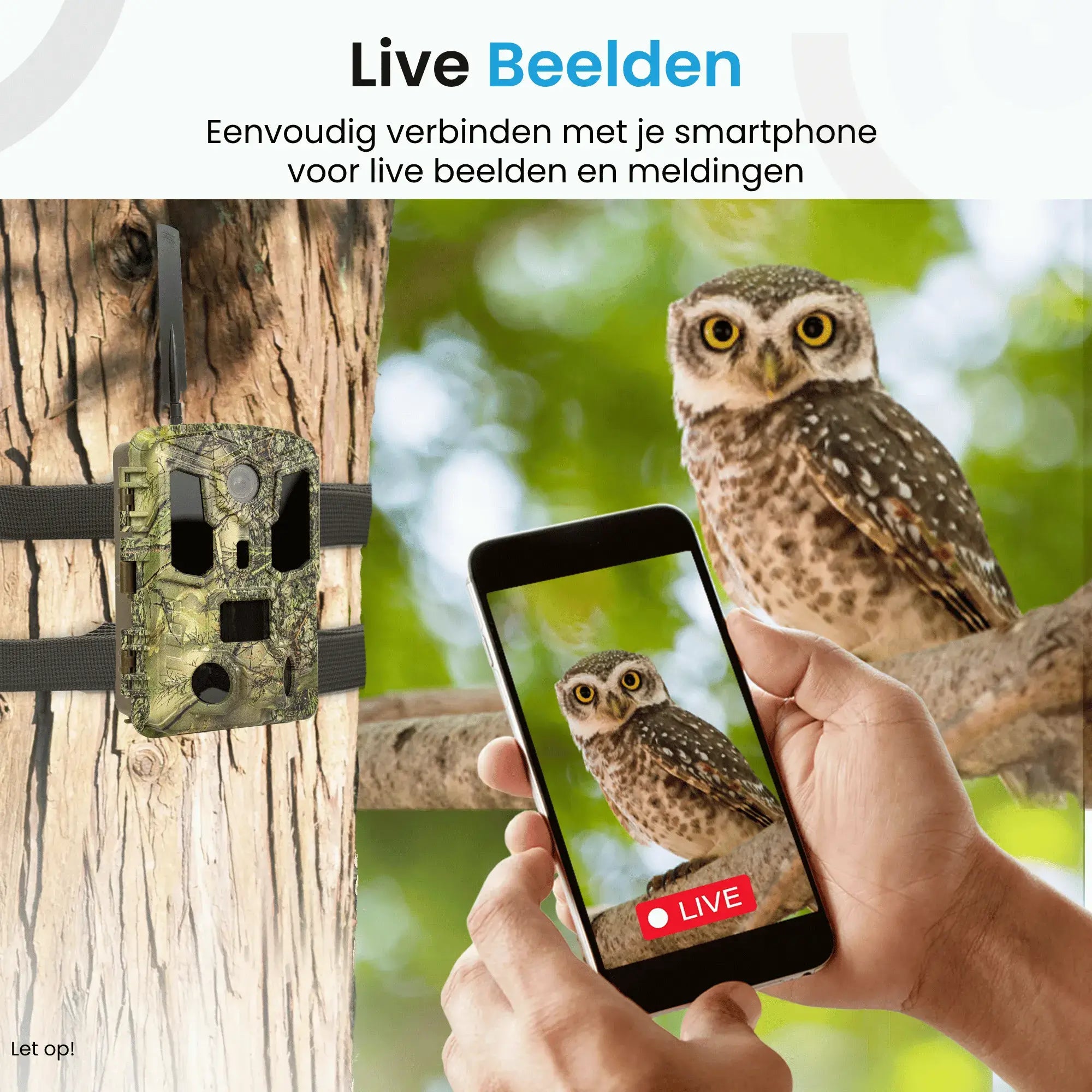 Live kijken via telefoon app en ontvang real time meldingen op je telefoon. Wildcamera met simkaart, zonnepaneel en ai