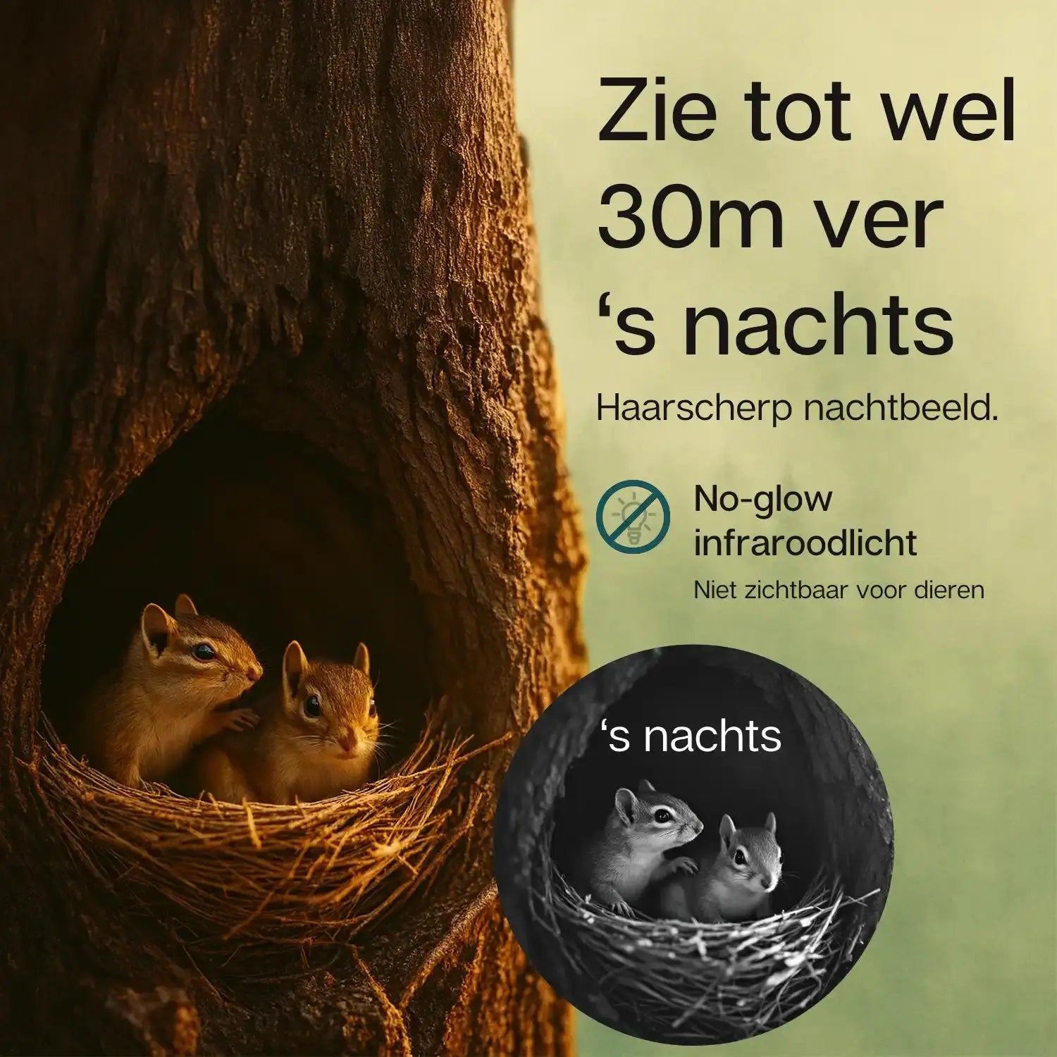 Nachtzicht van de camtura wildcamera met 4g simkaart en AI