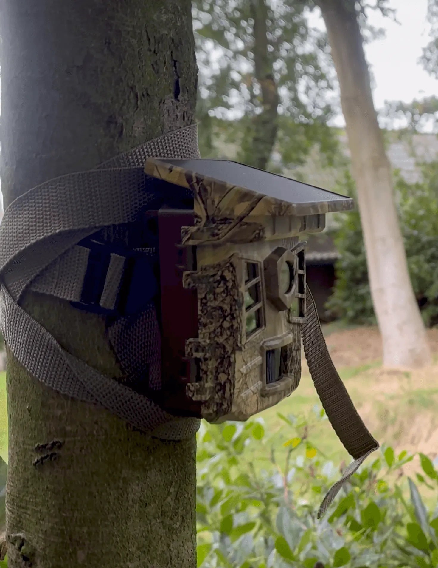 Wildcamera met zonnepaneel en wifi geïnstalleerd aan een boom