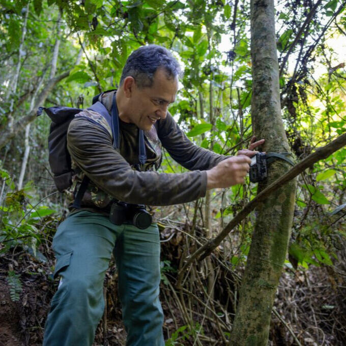 Wildcamera met nachtzicht die geïnstalleerd wordt om dieren ongestoord te filmen. Dit doet de camera overdag en s'nachts automatisch